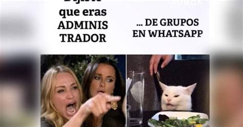 Los Memes M S Divertidos Del Gato Y Me Dijiste Que