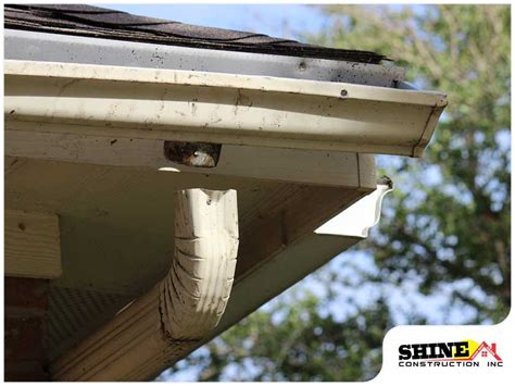 Will Your Homeowner S Insurance Cover Damaged Gutters