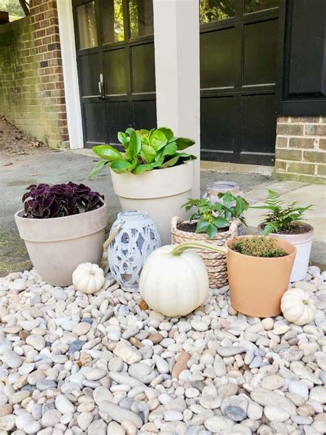 Gravel Garden Inspiration And Ideas
