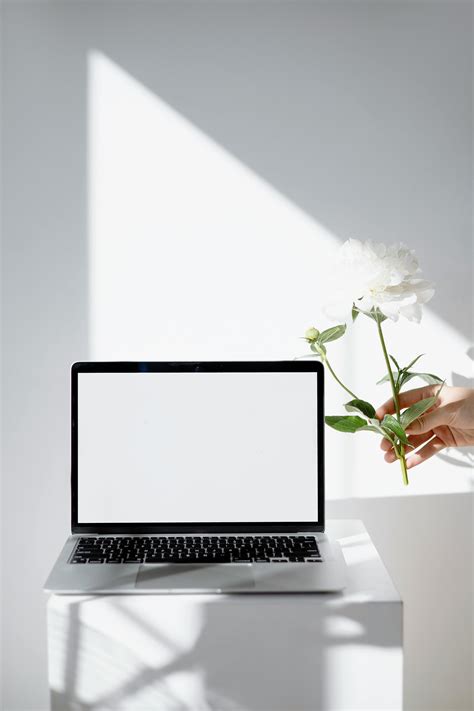 white screen background      white screen