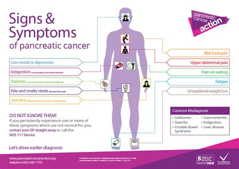 Pancreatic Cancer Symptoms - Signs & Symptoms of Pancreatic Cancer