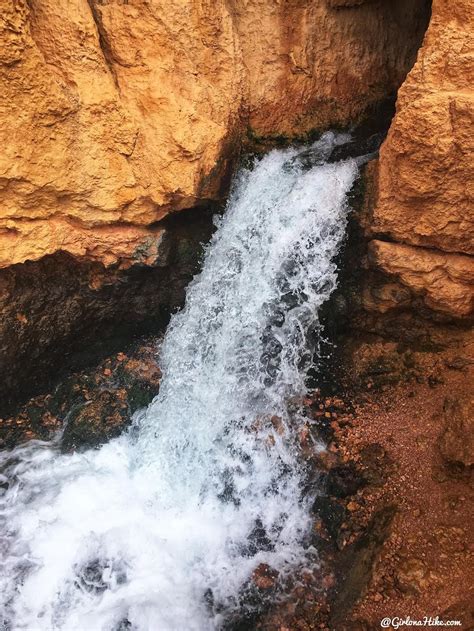 Hike To Cascade Falls Navajo Lake Utah Artofit