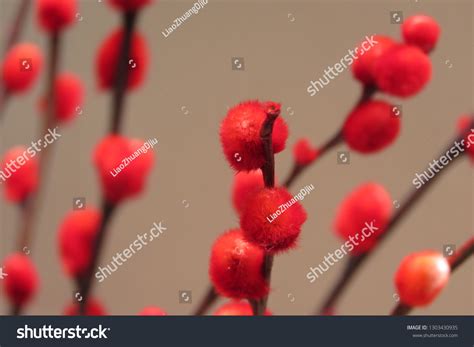 Pussy Pillow Flower Chinese Tradition This Stock Photo 1303430935 Shutterstock