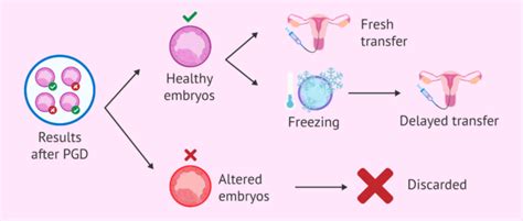 Destination Of Embryos After PGD