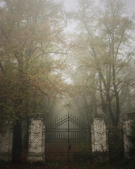 abandoned asylum cemetery of the insane : r/pics