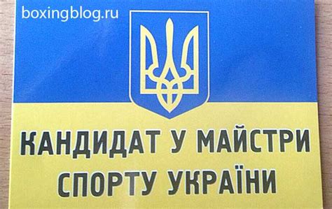 Как получить КМС по тайскому боксу: общие требования и нормы