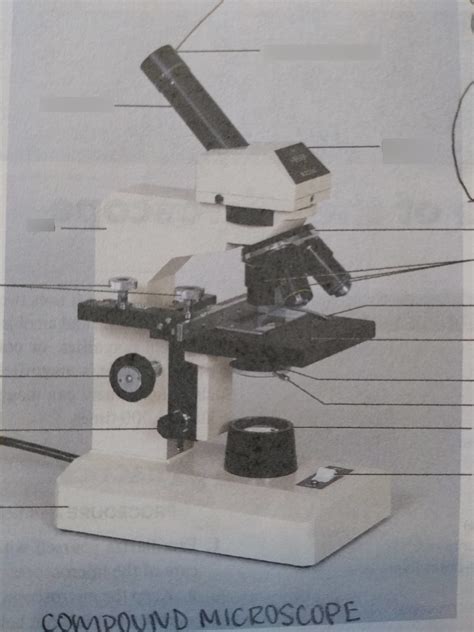 Microscope Parts Diagram Quizlet