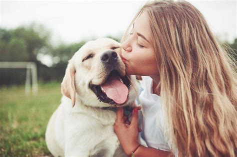 10 Razones Para Tener Un Perro Y Amarlo Para Siempre
