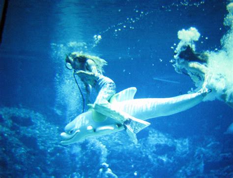 Mermaid Show Weeki Wachee Springs Florida A Photograph F Flickr