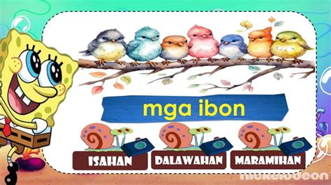 kailanan ng pangalan grade one- powerpoint.pptx