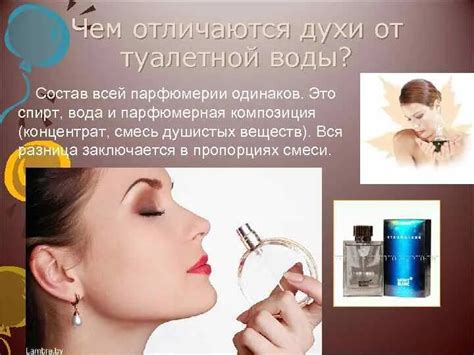 Чем отличаются духи от туалетной – Telegraph