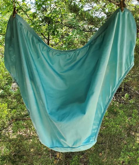 Shadowline Floral LACE Bikini Panty Shiny Nylon Silky Gem