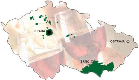 Morawy Czyli Winne Czechy Wine Tourism