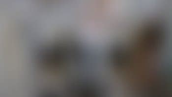 Mistyinked Porn Videos Clips Sale