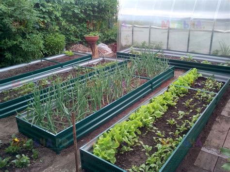 Грядки с полимерным покрытием: особенности