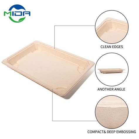 Biodegradable Eco Friendly Compostable Disposable Sugarcane Bagasse