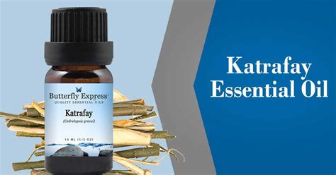 Katrafay Essential Oil