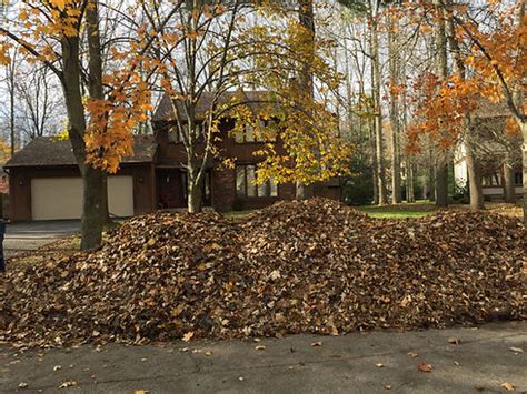 Fall Leaf Clean Up Buffalo Ny Lawn Care