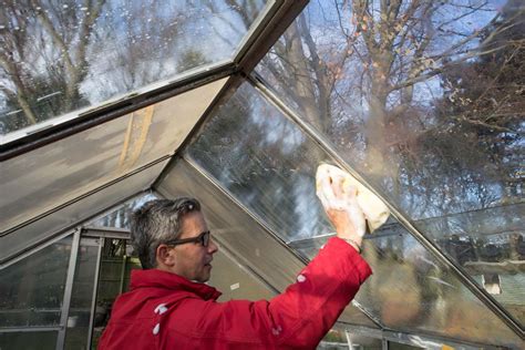 How to Clean Your Greenhouse – Greenhouse-ing 