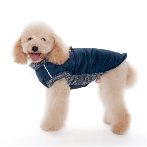 Dogo Runner Coat In Navy At Glamour Mutt