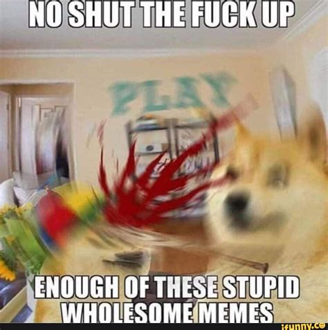 NO SHUT THE FUCK UP ENOUGH OF STUPID WHOLESOME MEMES IFunny