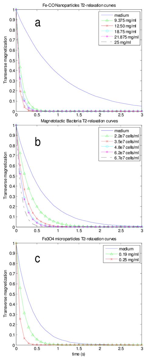 T Relaxation Curves For Different A Fe Co Nanoparticles