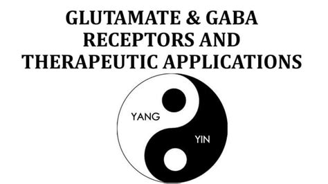 GABA, glutamate receptors and their modulation | PPT
