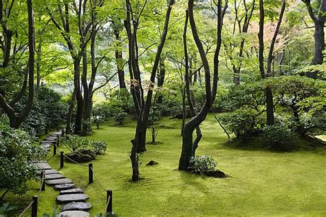 Jalan Batu Di Taman Jepang Menjelajahi Perkebunan Okochi Denjiro Di