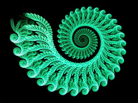 purpura: LA" GEOMETRÍA FRACTAL" ES DE NUESTRO SIGLO