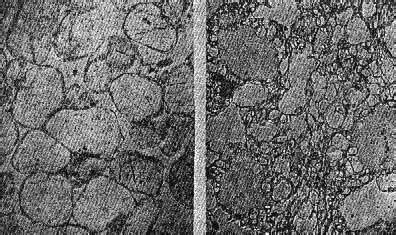 Рокс минерал гель инструкция – Telegraph