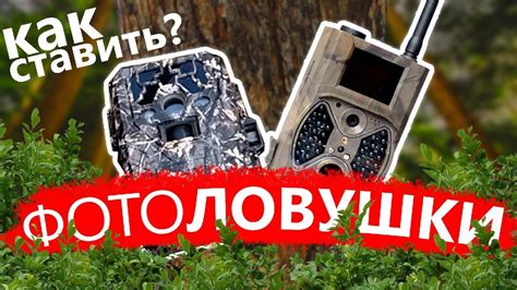 Как ставить фотоловушки? - YouTube