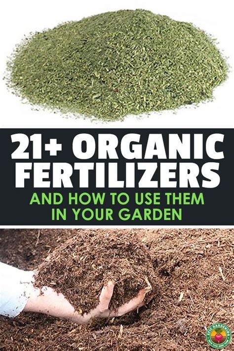 23 Organic Fertilizer Types And How To Use Them Organic Fertilizer Organic Plants Organic