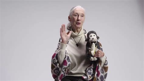 Dr Jane Goodall Sends A Message To Australia Youtube