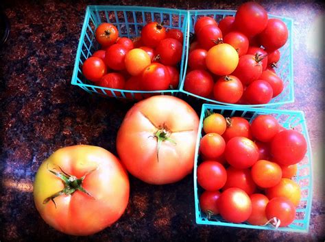 riddlelove creamy tomato bisque  recipe  fresh tomatoes