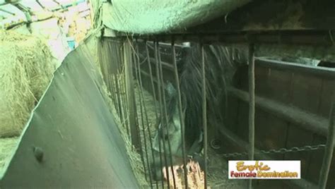 Lesbian Grannies Rub Their Pussies Together In The Stables Mobile Milf To Gilf Clips Sale