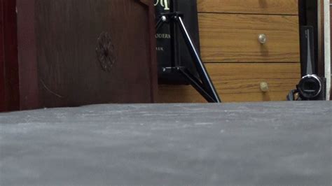 REDUCED PRICE 231lb LEOPARD PRINT SLIPPERS COCK CRUSH ON NEW CATWALK ANGLE 1 BBW CRUSH AND