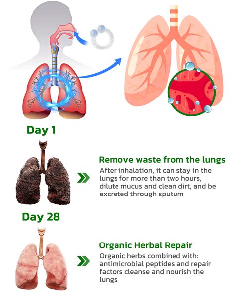 FastClean Cleaning Lung Herbal Extracts Ring - Wizzgoo