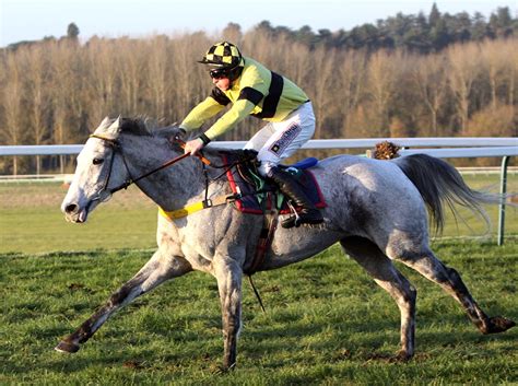 towcester races  november  rjsnompere flickr