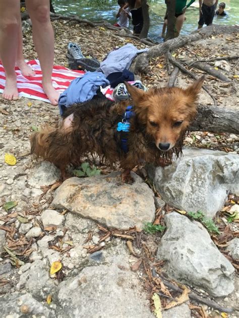 Iliza Shlesinger Thefappening Leaked Over Hot Photos The Fappening