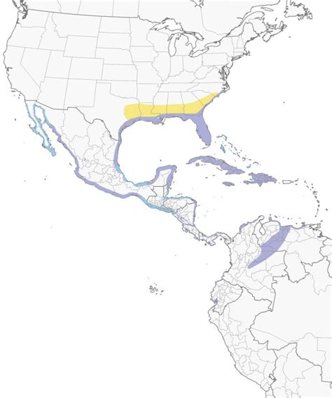 Glossy Ibis Range Map