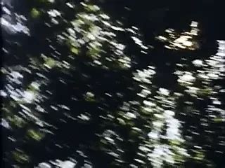 My Way To Success Hairy Hairy Porn XHamster