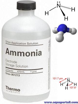 Ntroduire 47 Imagen Formule De L Ammoniac Fr Thptnganamst Edu Vn