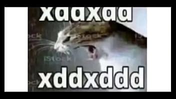 Garotas Tentando Arrombar Uma Porta XVIDEOS