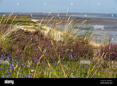 Dream Landscape Hi Res Stock Photography And Images Alamy