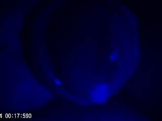 Solo Men Pornhub Gay