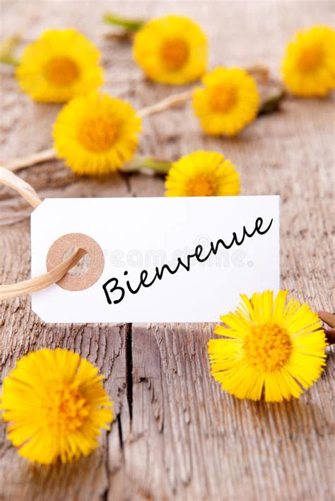 Bienvenue Flowers Stock Photos Free And Royalty Free Stock Photos From