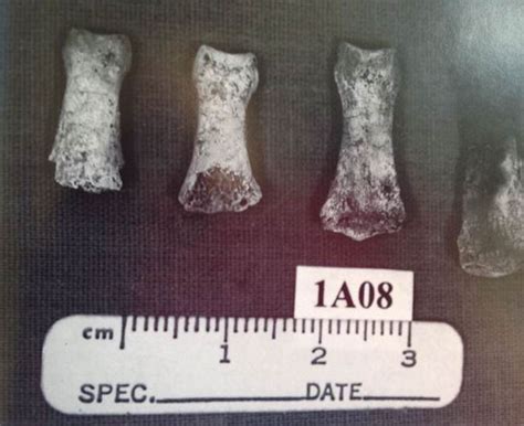 Gary Michael Hilton | Photos 2 | Murderpedia, the encyclopedia of murderers