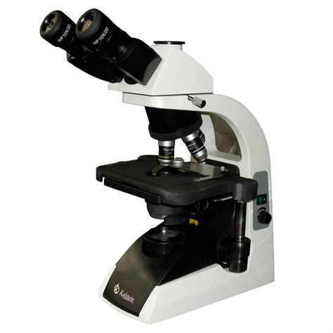 ¿cuáles Son Los Diferentes Tipos De Microscopios ópticos Kalstein
