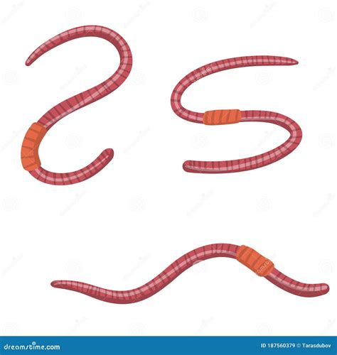 earthworms for garden 7