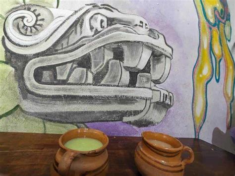 Descubre la tradición del pulque en Apan